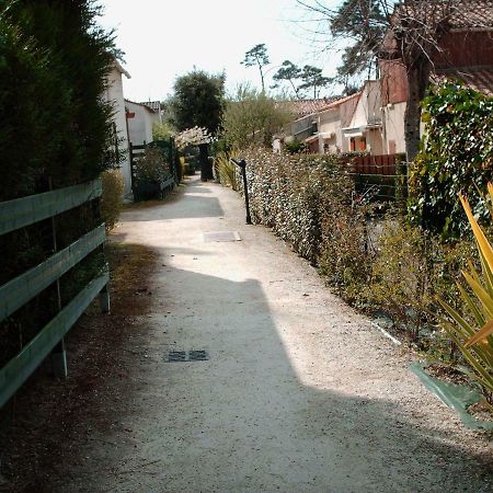 Апартаменти Les Pins Ensoleilles Сен-Жорж-де-Дідонн Екстер'єр фото